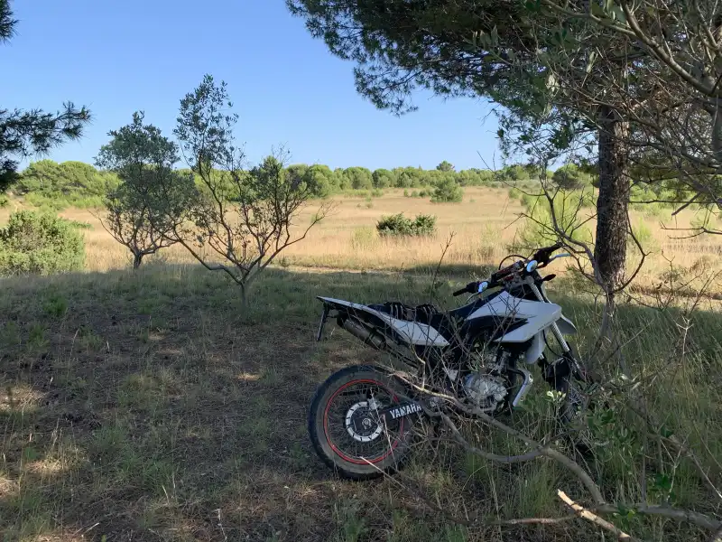 Epic Mini Moto Adventure