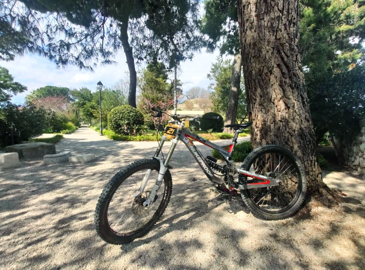 Image of my Nukeproof Pulse
