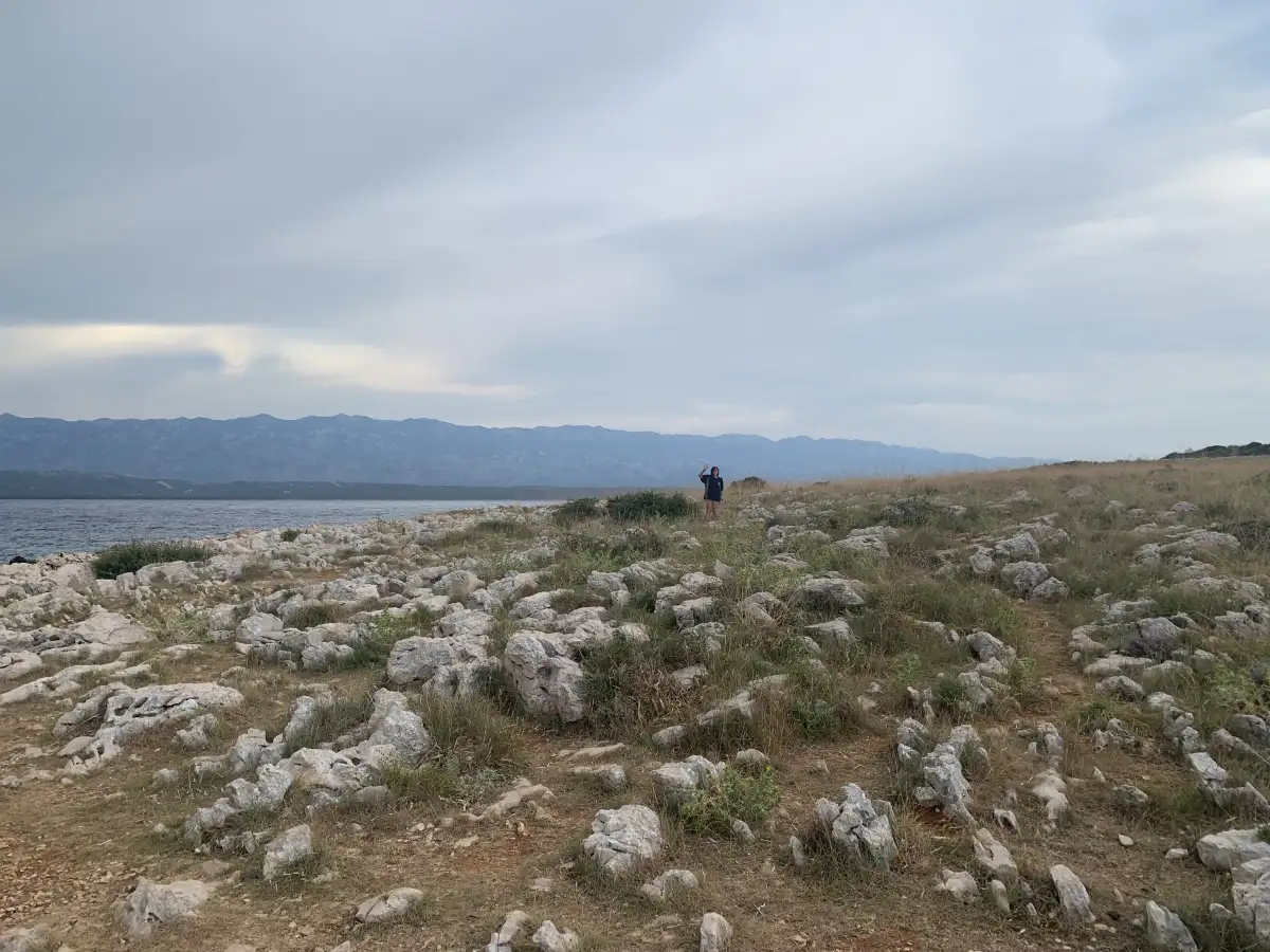 End of Pag 2